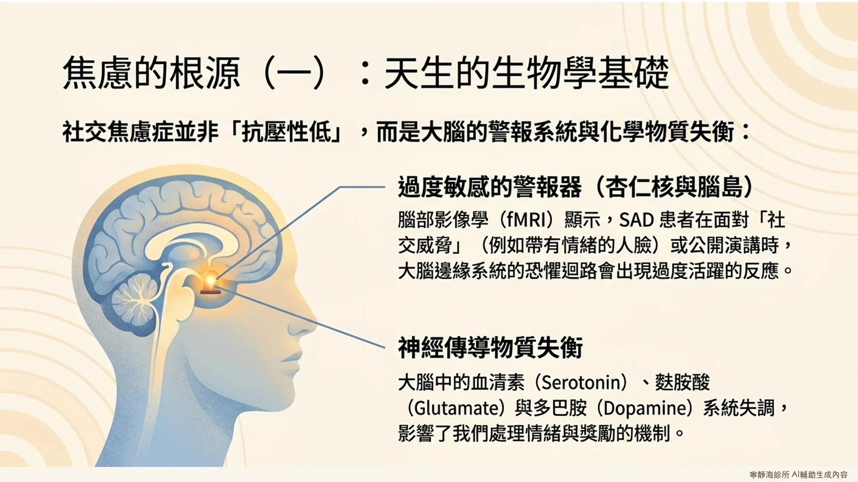 社交焦慮症生物學機轉:杏仁核腦島過度活躍、血清素等神經傳導物質失衡
